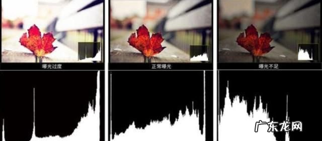 单反直方图怎么看,尼康照片直方图怎么看