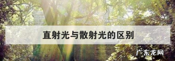 什么叫散射光什么叫直射光,直射阳光散阳光的意思是什么