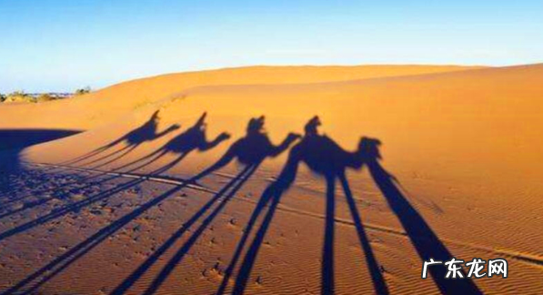 什么叫散射光什么叫直射光,直射阳光散阳光的意思是什么