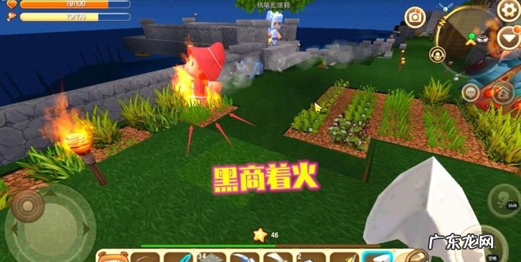 迷你世界火种有什么用,迷你世界火种有什么用