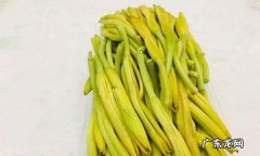 现摘黄花菜怎么处理可以吃,刚采摘的黄花菜金针菜怎样处理才能吃