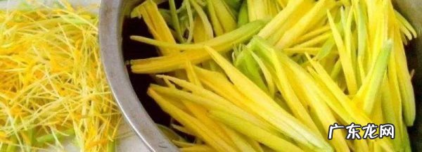 现摘黄花菜怎么处理可以吃,刚采摘的黄花菜金针菜怎样处理才能吃