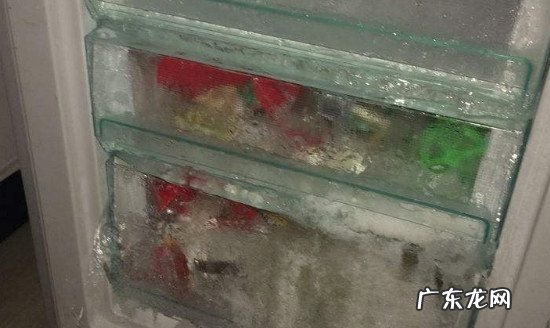 玉米要放冰箱,玉米需要放冰箱冷藏