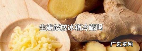 夏天生姜可以放冰箱,姜可以放冰箱里保鲜多久