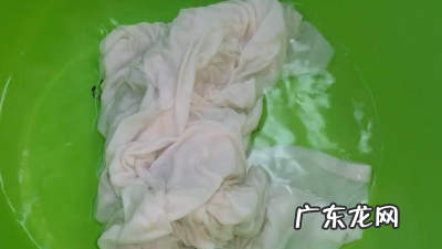 苍蝇贴的胶粘在衣服上怎么弄掉,粘苍蝇的胶弄到衣服上怎么弄下来