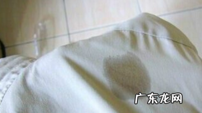 苍蝇贴的胶粘在衣服上怎么弄掉,粘苍蝇的胶弄到衣服上怎么弄下来