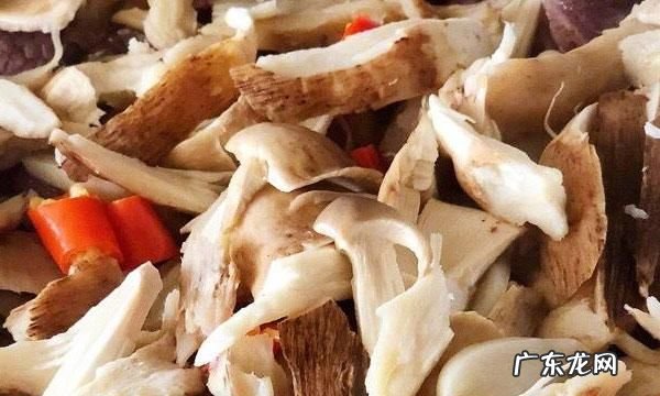 刷把菌怎么做才好吃,刷把菌怎么做才好吃