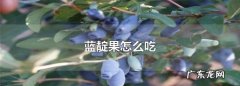 蓝靛果冷冻后怎么食用,蓝靛果怎么吃