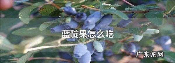 蓝靛果冷冻后怎么食用,蓝靛果怎么吃