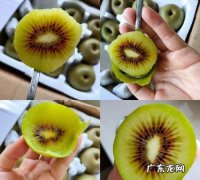 生的猕猴桃怎样熟的快,冬天猕猴桃怎么催熟快一点