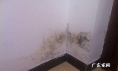房间除霉味最有效方法,房间霉味太重如何处理可以烧旧报纸来去霉味