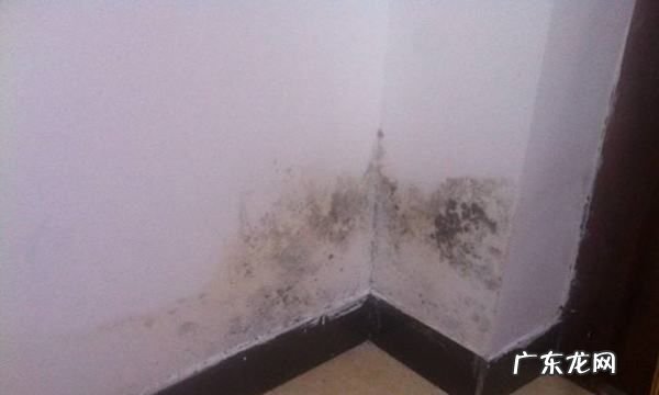 房间除霉味最有效方法,房间霉味太重如何处理可以烧旧报纸来去霉味