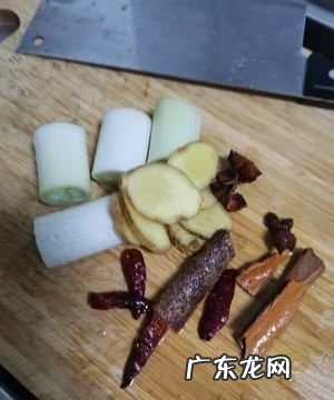 红烧啤酒鹅怎么做好吃窍门,红烧老鹅的做法 最正宗的做法