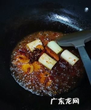 红烧啤酒鹅怎么做好吃窍门,红烧老鹅的做法 最正宗的做法