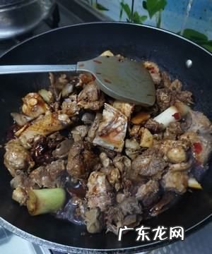 红烧啤酒鹅怎么做好吃窍门,红烧老鹅的做法 最正宗的做法