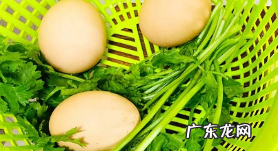鸡蛋冬瓜汤怎么做,黄瓜鸡蛋汤的做法大全窍门