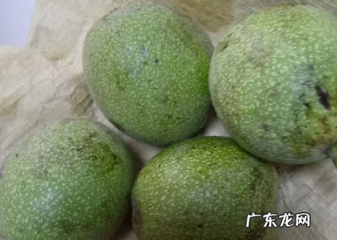 绿核桃皮怎么去掉,核桃绿皮怎样才能快速去掉能洗