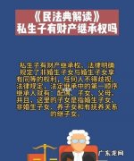 私生子有权继承遗产吗？,私生子可以继承