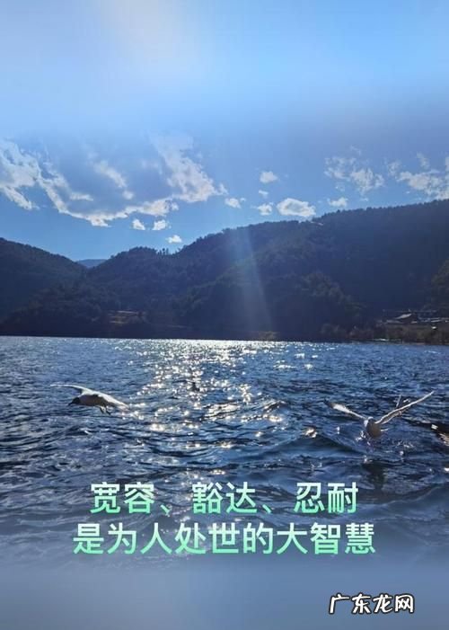 大智慧是做什么的,什么叫智慧