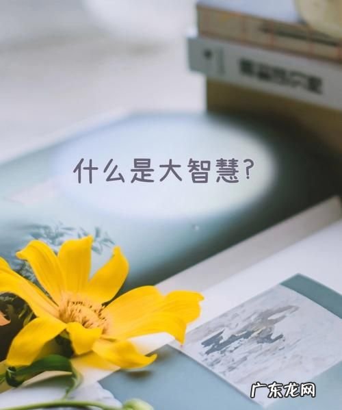 大智慧是做什么的,什么叫智慧
