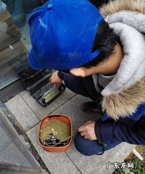 怎样灭老鼠窝最好的方法,家里有间房子是老鼠窝好