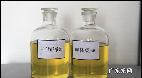 怎样灭老鼠窝最好的方法,家里有间房子是老鼠窝好