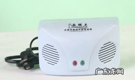 怎样灭老鼠窝最好的方法,家里有间房子是老鼠窝好