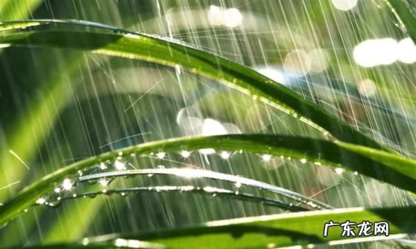 雨水可以洗衣服么,雨水能洗衣服干净