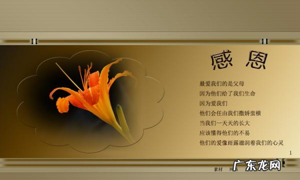 夸赞母亲的格言,赞扬母亲的名言警句或诗句