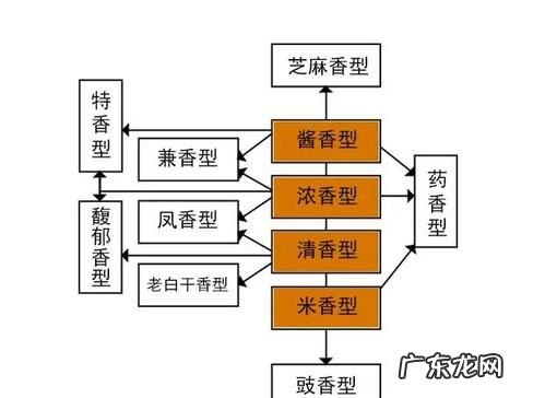 酒分几个香型,酒香型分哪几种及代表