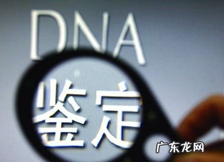 亲子鉴定怎么样进行,怎样做亲子鉴定