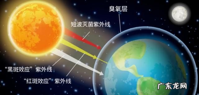 臭氧层吸收紫外线,臭氧层主要吸收什么光线