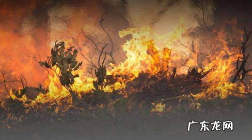 着火了怎么办,发生火灾时怎么办