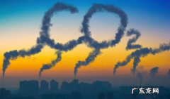 c02是什么,co2是什么气体