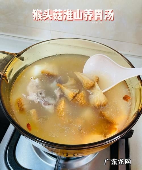 猴头菇汤怎么做好吃,猴头菇怎么煲汤养胃