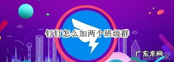钉钉一个手机号可以进两个班级,钉钉可以两个班级群一起直播