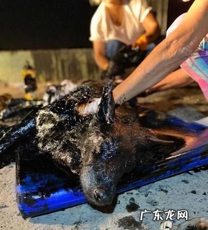 手上沥青用什么能洗掉,手上沾有沥青如何最快去掉