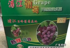 葡萄能快递,葡萄可以快递 会不会坏