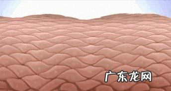 身上的泥垢叫什么,擦背的污垢怎么写文案