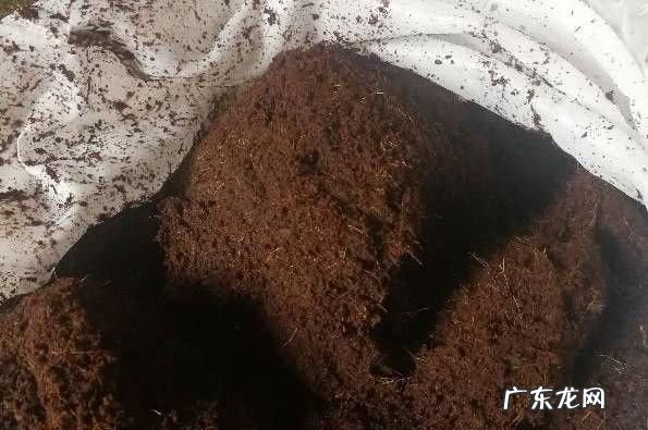 椰糠泡多久才能去盐,在阳台种菜