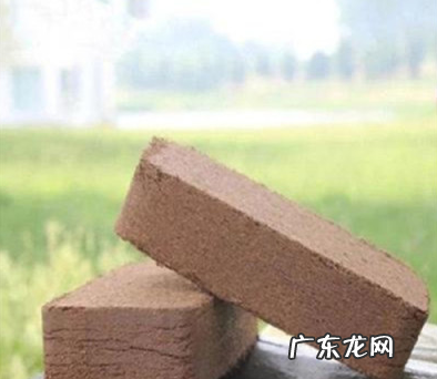 椰糠泡多久才能去盐,在阳台种菜