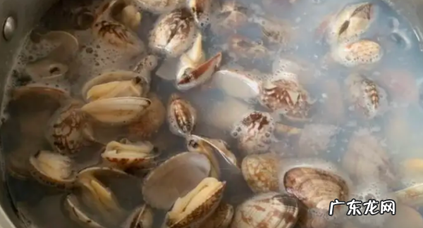 花蛤煮5分钟能吃吗,花蛤煮5分钟能吃