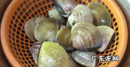 花蛤煮5分钟能吃吗,花蛤煮5分钟能吃