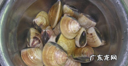 花蛤煮5分钟能吃吗,花蛤煮5分钟能吃