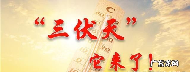 什么时候进二伏天,头伏二伏三伏是几月几号2020