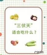 三伏天吃什么肉对身体有益,三伏天吃羊肉的好处和坏处