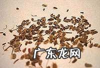 席虱怎么处理,被五步蛇咬了该怎么办