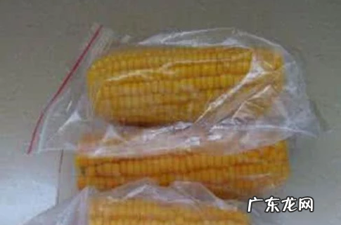 生玉米煮多长时间才能熟,鲜玉米煮多长时间能熟