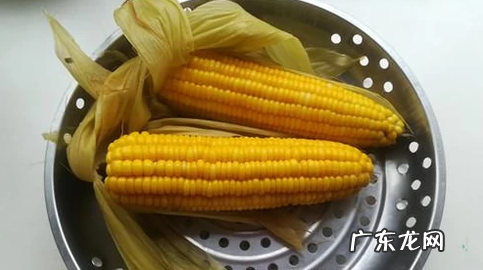 生玉米煮多长时间才能熟,鲜玉米煮多长时间能熟