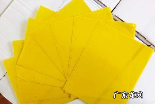 怎么灭掉家里的蟑螂,家里有蟑螂怎样能彻底消灭